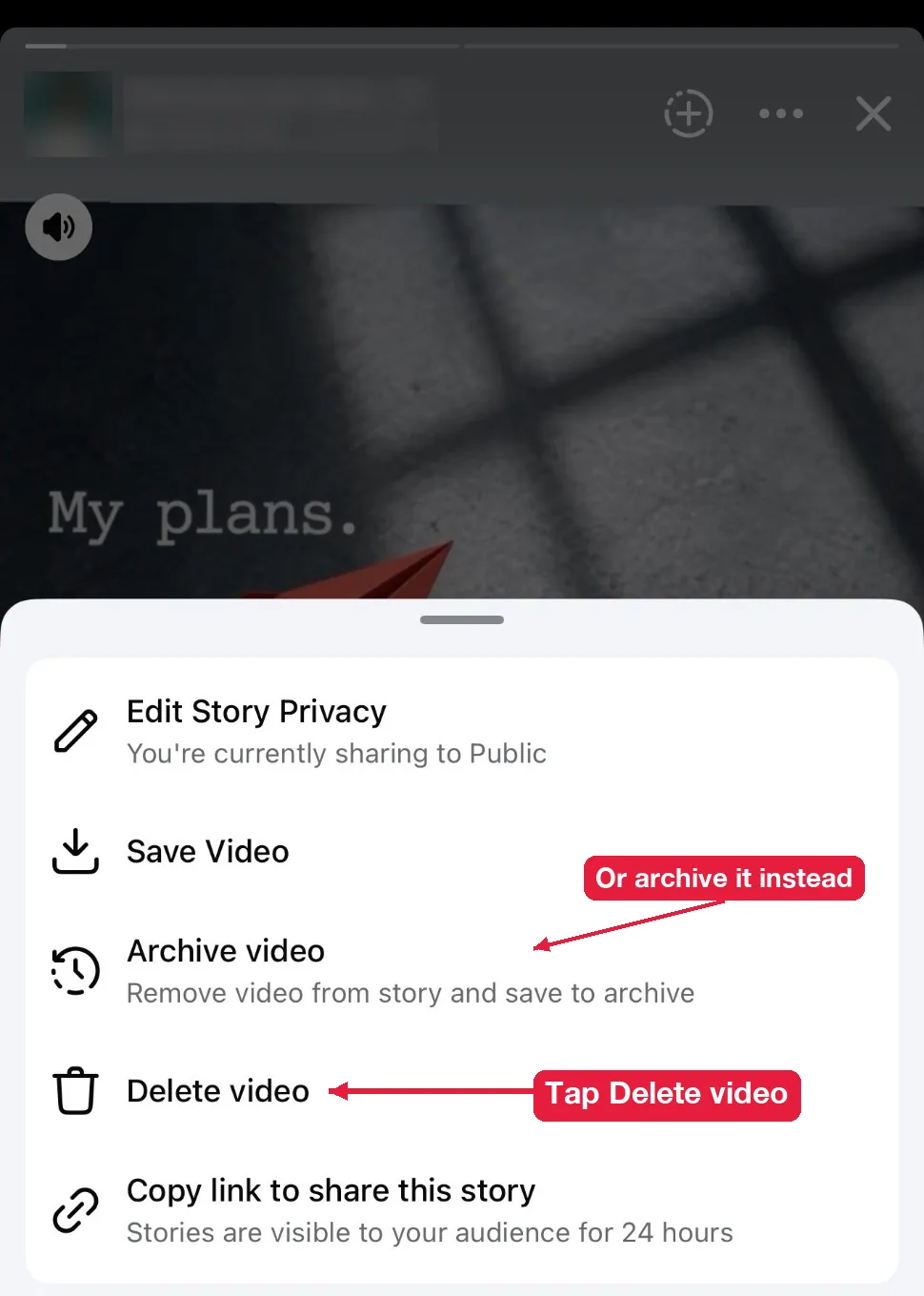Delete video and Archive video options in the three-dot menu of a Facebook story in the app