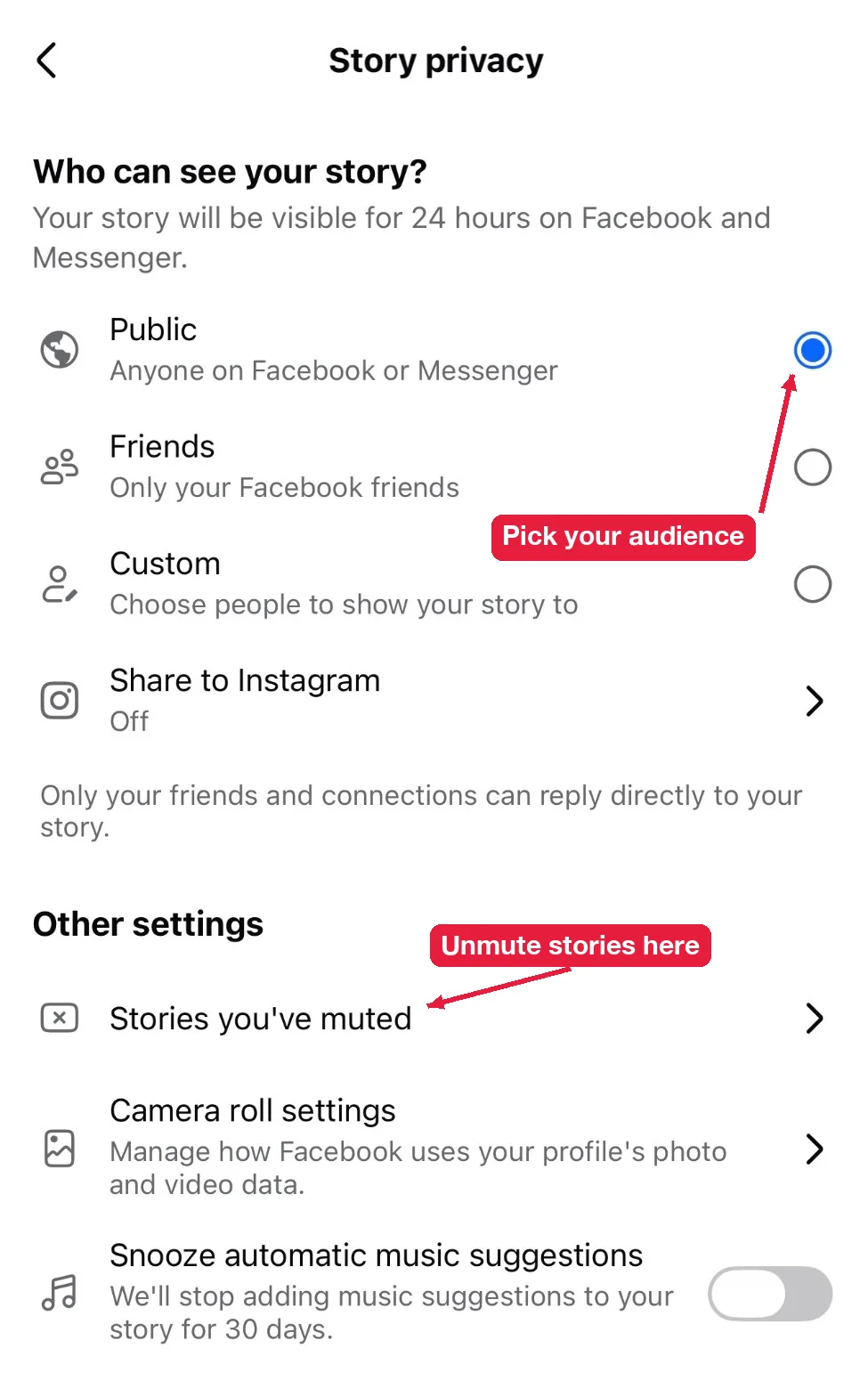 Facebook Story privacy screen with Public, Friends and Custom audiences and the Stories you’ve muted setting
