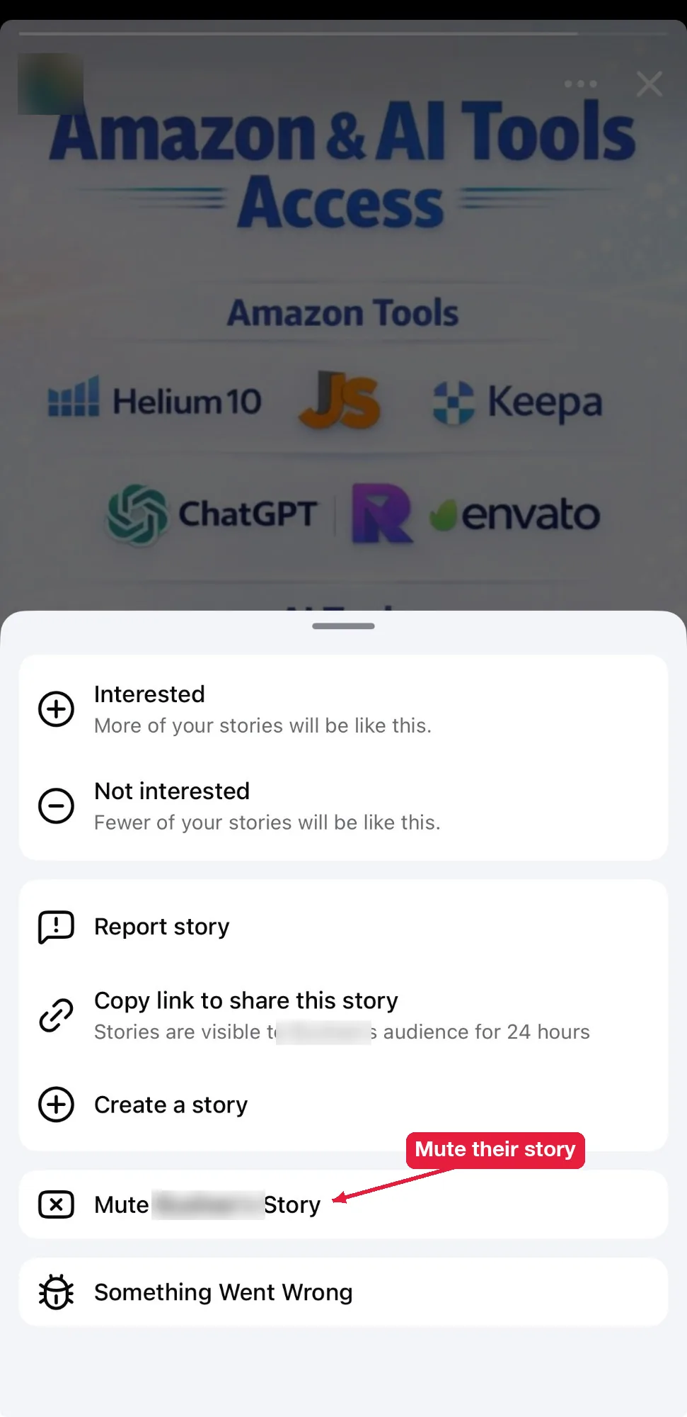 Mute story option in the three-dot menu of a friend’s Facebook story, with the name blurred