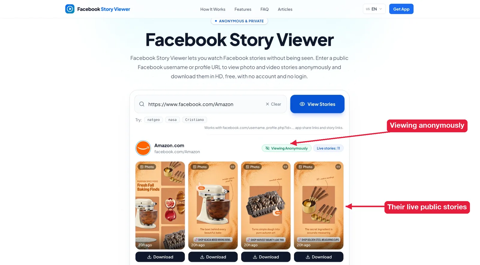 Watching a brand’s live public Facebook stories anonymously in Facebook Story Viewer
